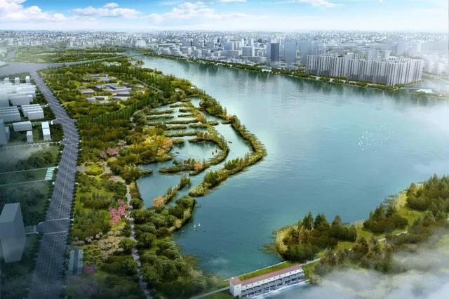 福州东湖湿地公园出现小树林啦