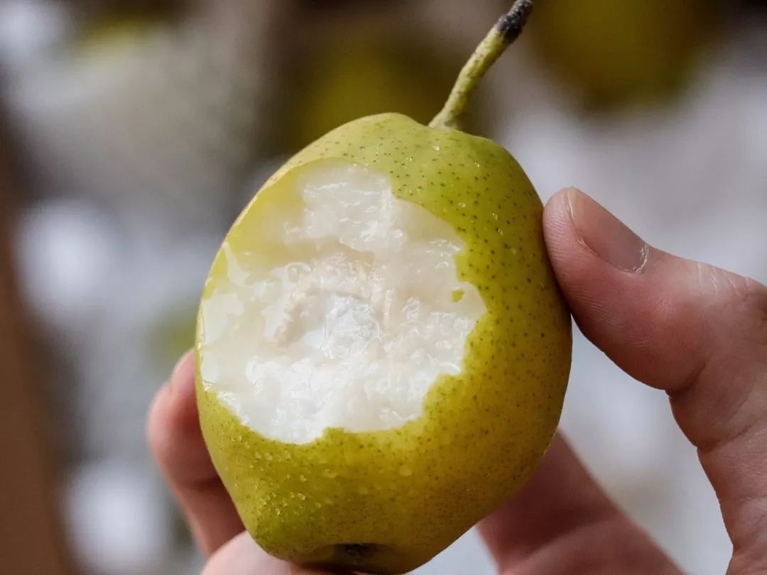 新疆的"梨中珍品",来咯!