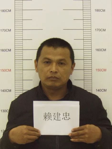 紫金县|违法犯罪|源城区_新浪新闻