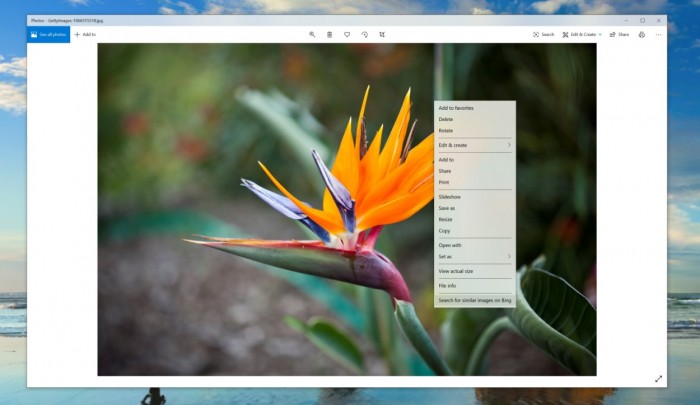 [图]Bing以图搜图功能现扩展至桌面端 整合到Windows Search中|Windows|Bing_新浪科技_新浪网