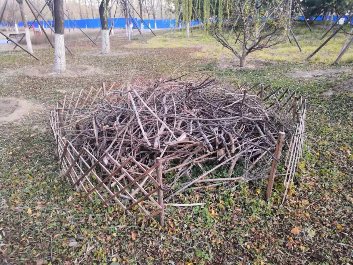 本杰士堆各种形态的昆虫旅馆,在公园内随处可见,有一个还做成了猫头鹰