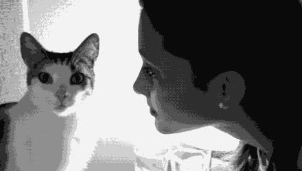 教你如何"口吐芬芳"