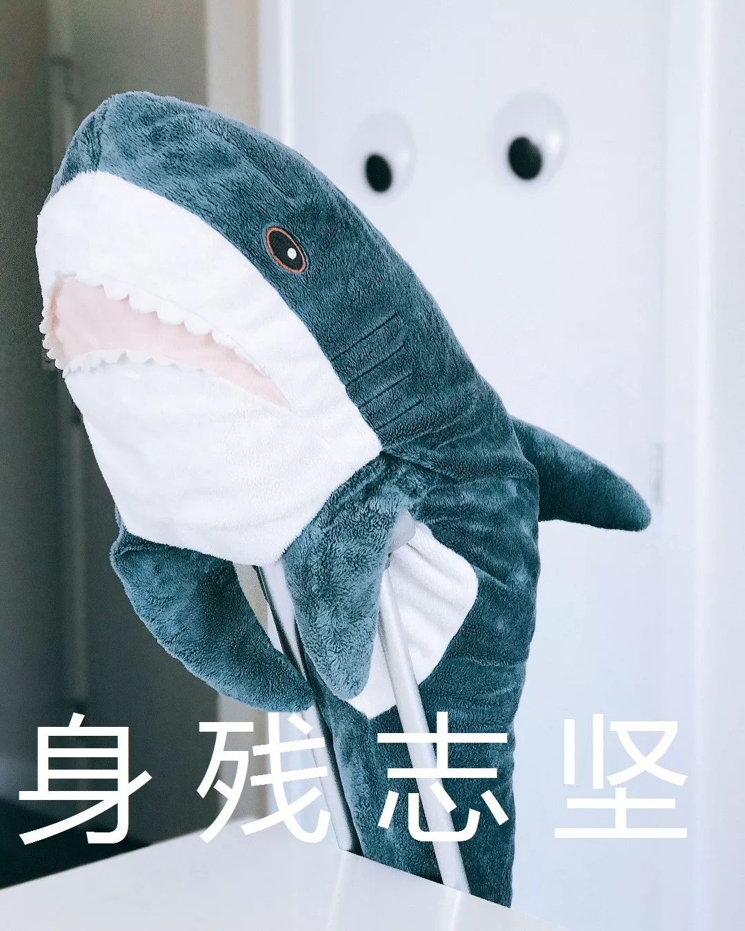 宜家鲨鱼又火了商城变游乐场到处是鲨几十万网友在里面玩疯了