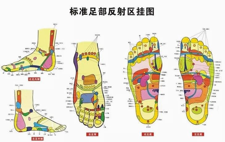 一陽一陰,不斷迴旋按摩,可以對