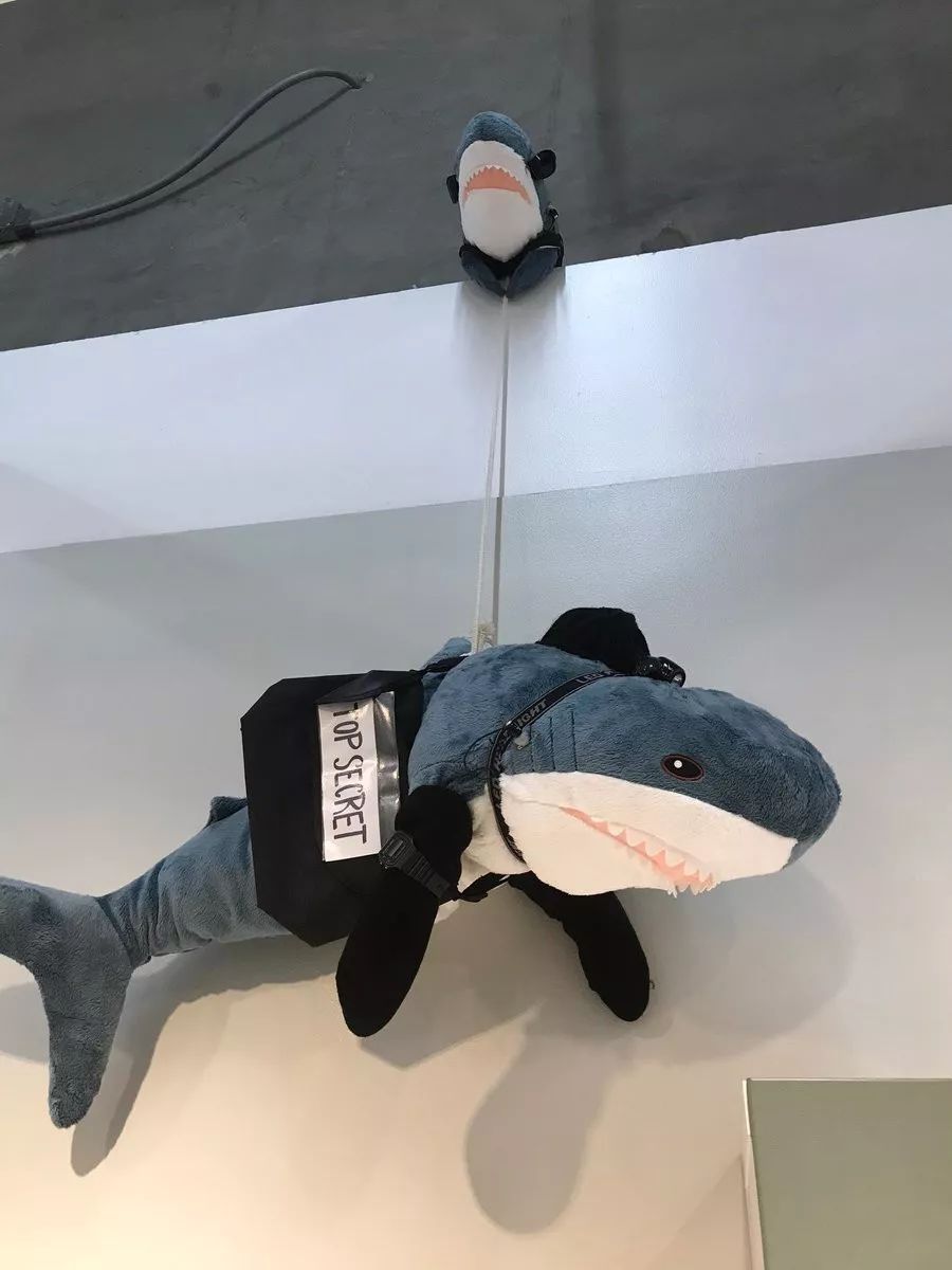 宜家鲨鱼又火了商城变游乐场到处是鲨几十万网友在里面玩疯了