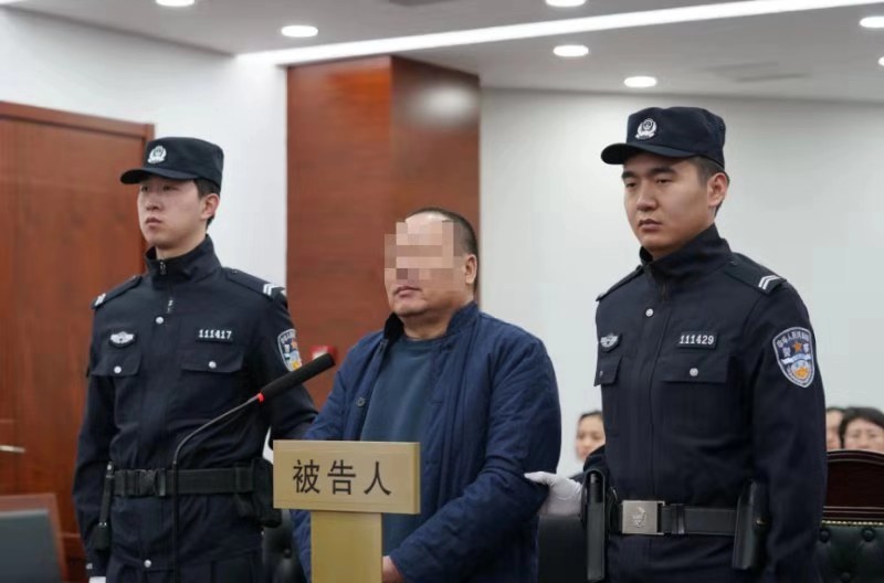 中医私带价值近百万穿山甲鳞片入境 一审获刑