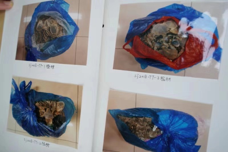 中医私带价值近百万穿山甲鳞片入境 一审获刑