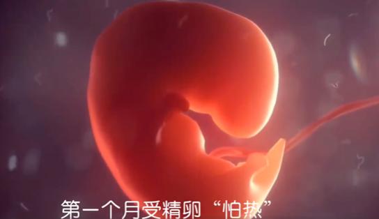 十月怀胎,每月各有一条“高压线”,孕妈碰一条,胎宝被伤害一次|孕妈|胎宝宝_新浪新闻