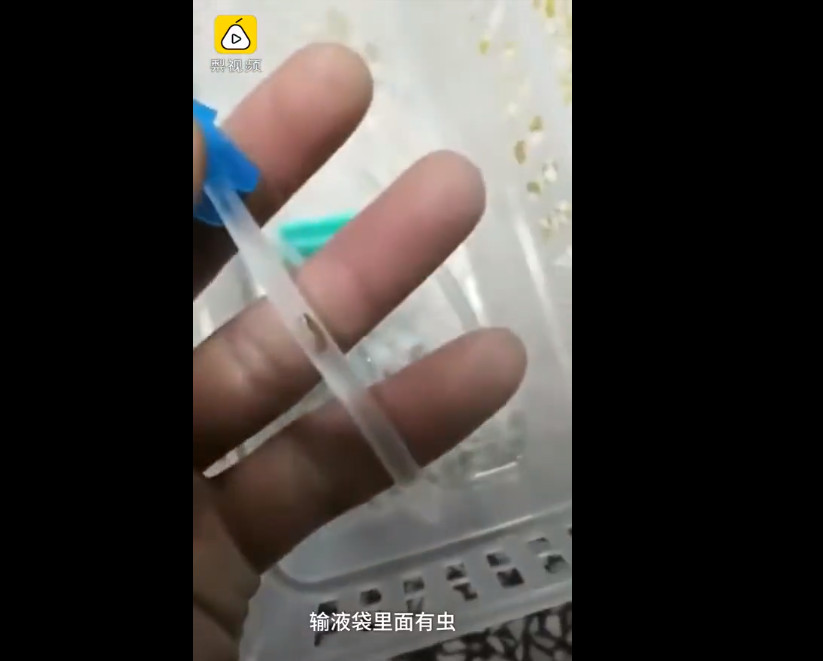 输液管中疑似虫状物体 来源:梨视频