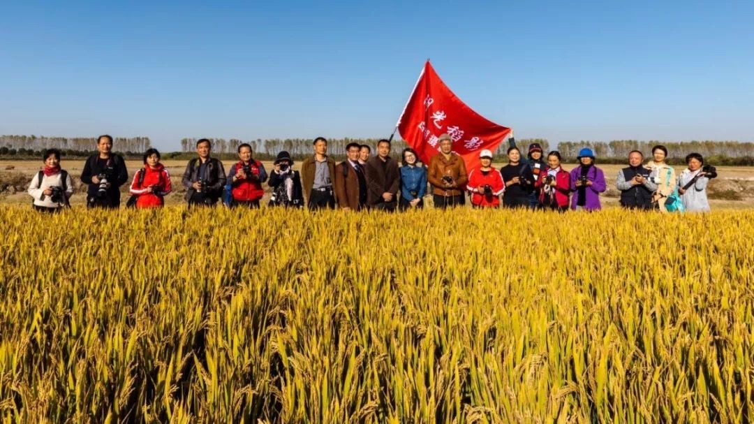 白湖:"湖光稻影"的田园行记 | 中国摄影报摄影训练营