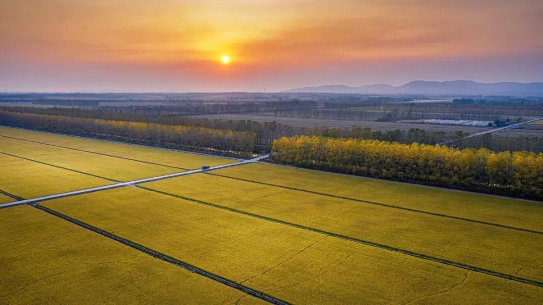 白湖:"湖光稻影"的田园行记 | 中国摄影报摄影训练营