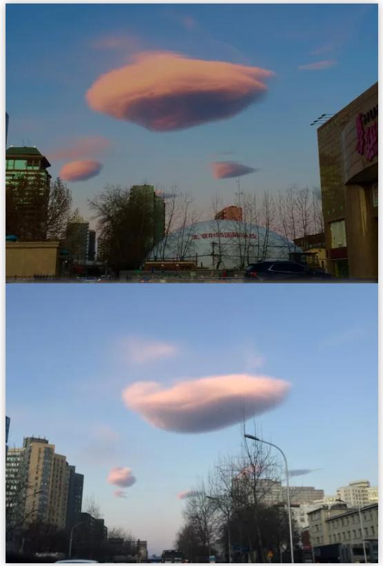 看了这一团团"棉花糖",心都甜化了