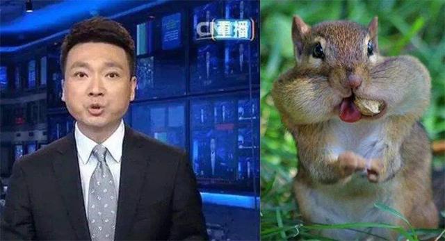 康辉年轻时神级颜值!网友:是啥让你变成松鼠?时间是一把松子吗