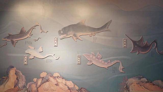 乾隆最爱读物海错图来南京啦多媒体浸入式的故宫海洋世界叹为观止
