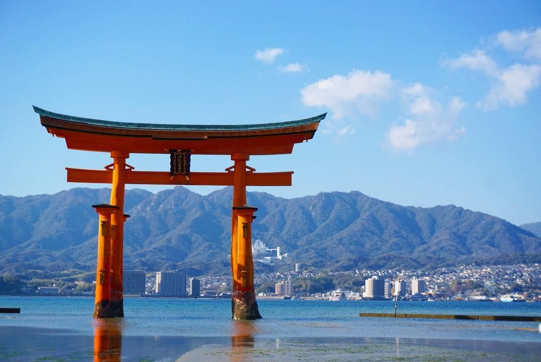 daily | 香港取消跨年烟火,日本宫岛即将征税