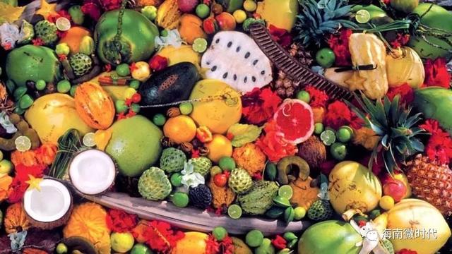 菠萝蜜,橙子,番荔枝,番石榴,海南柚子,红毛丹,黄皮,荔枝,青椰,糖棕,红