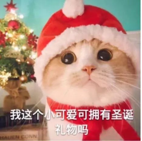 秒足金享大牌畅吃海底捞昆山九方玩趣游乐园圣诞速打卡