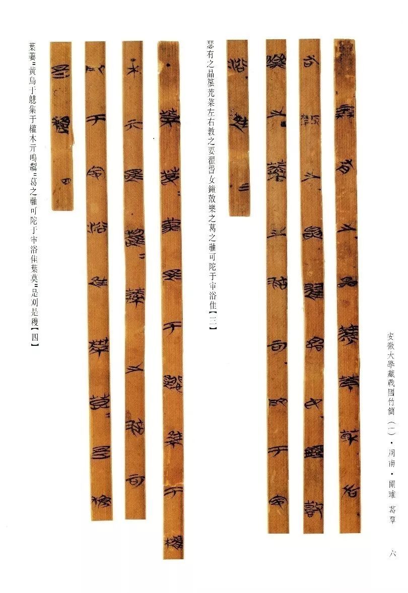 夜读0202安大简记