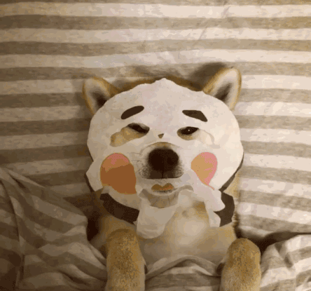 购物分享之面膜篇,这个冬天跟干燥说88!