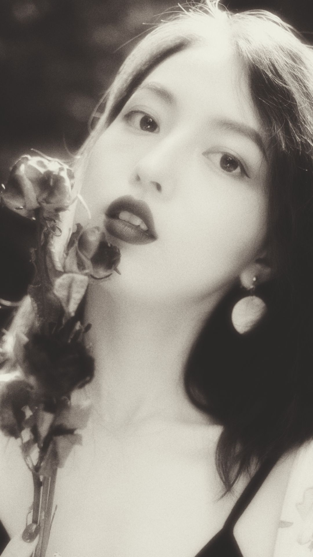 超美高清港风壁纸这样的暖图一定能温暖你