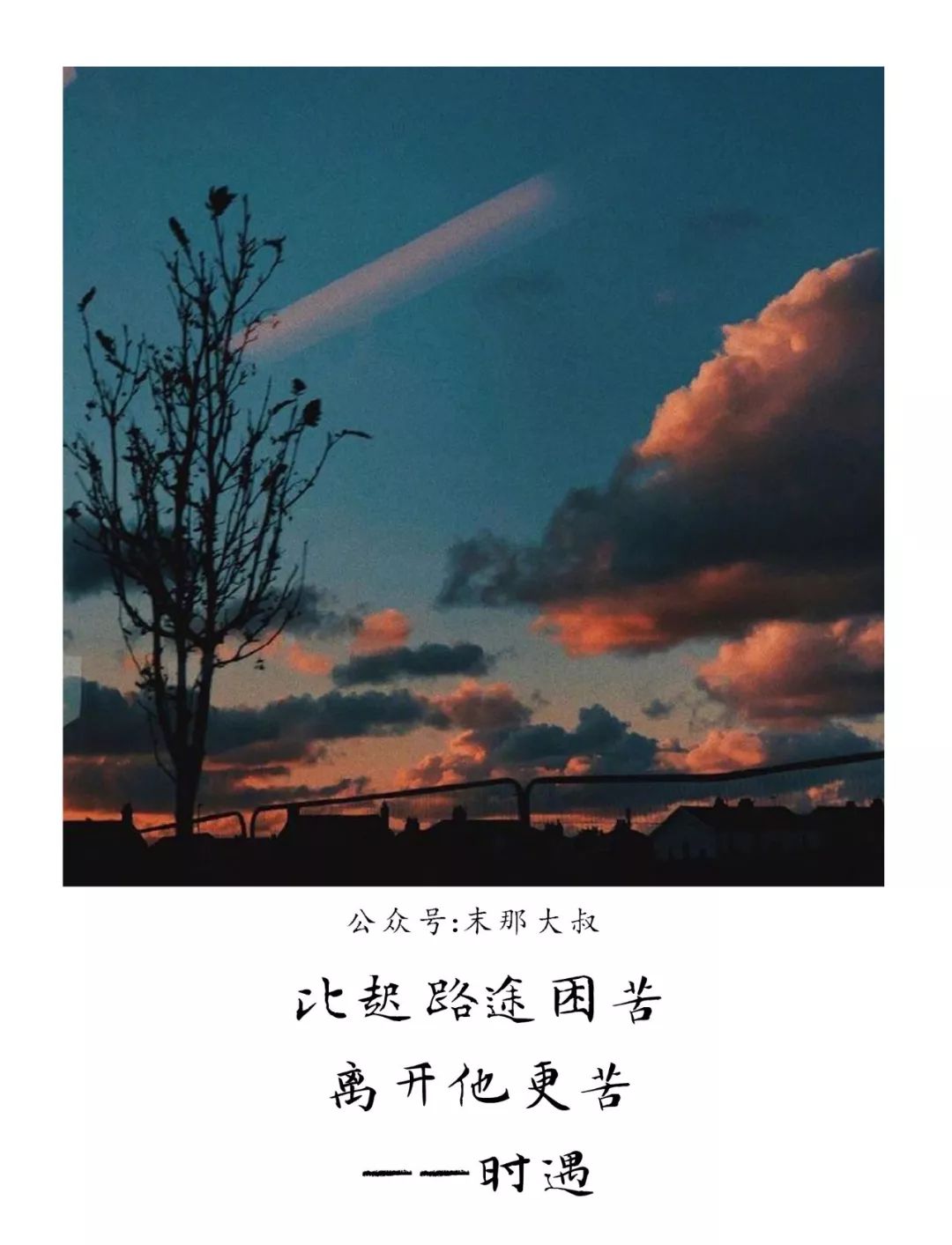 "短暂交集,各奔东西"|杜鹃|人生|风景_新浪新闻