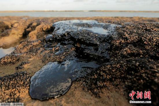资料图:巴西东北部海滩今年9月初发现的原油污染已波及132片海滩,涉及9个州的61个市镇。