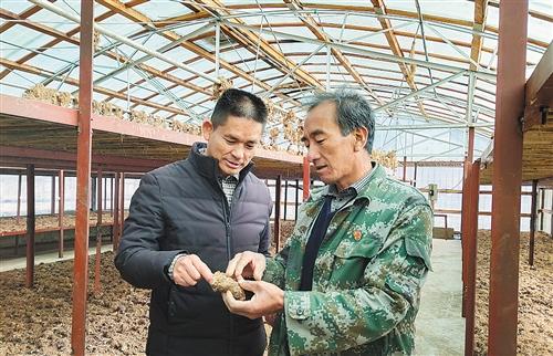 云南丽江创新制度严格措施发展促保护保护促发展