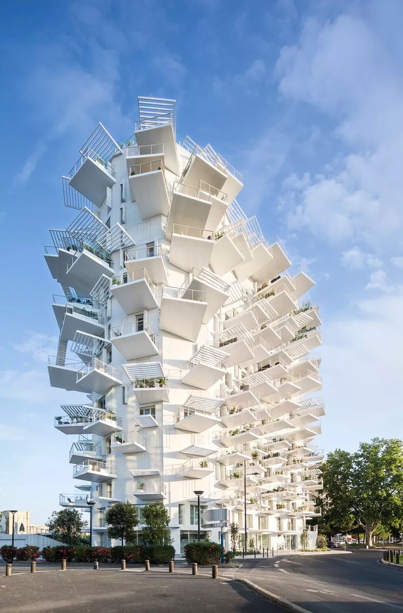 建筑是探索世界和人道的一种方式丨藤本壮介