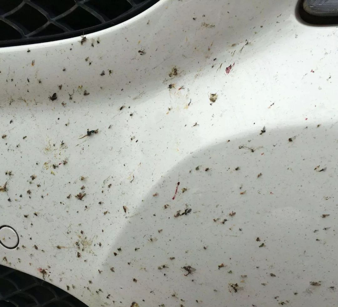 原来洗车竟这么简单!车主学会这招,洗车不用愁!