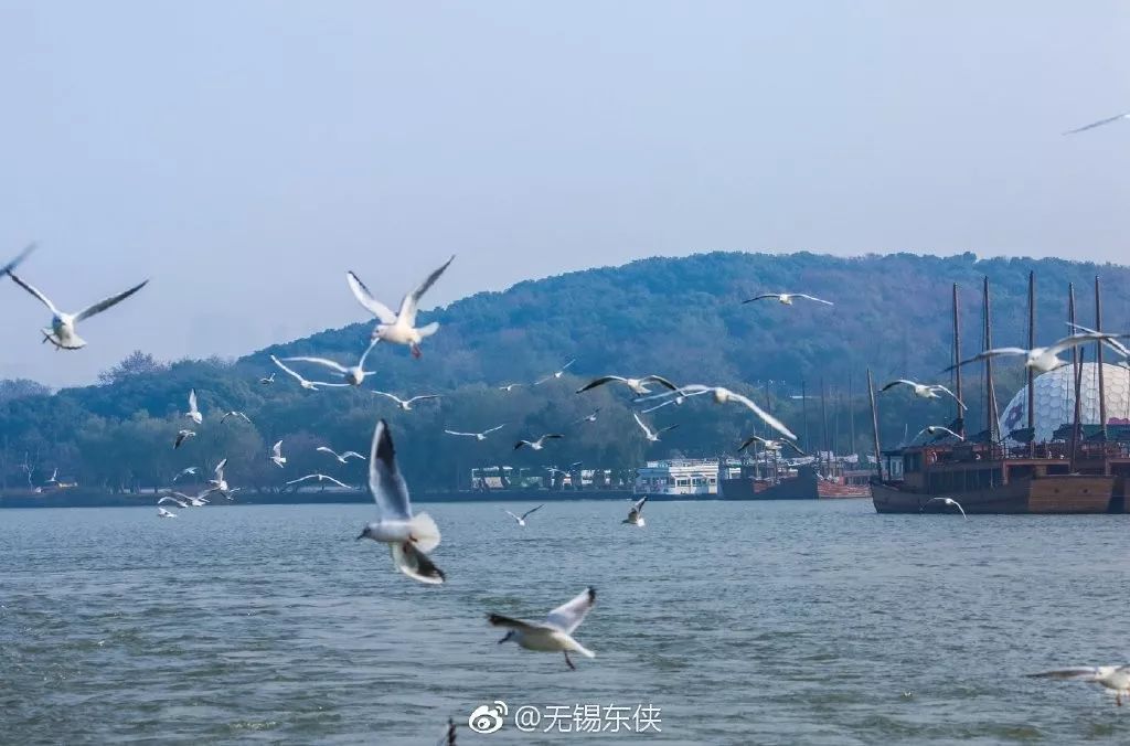 乘船游湖,观鸟喂鸟,你可爱的小精灵们已上线,速来围观!