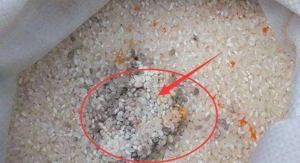 说到这里可能有人会问了,前面你默认大米已经被黄曲霉污染,那不是就