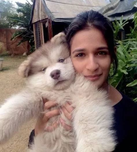 养狗之后,主人竟然会越变越小