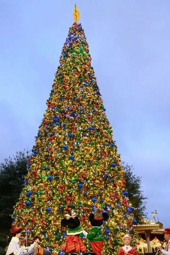 2000棵东北云杉和上海的平安夜城市里的圣诞树哪来的