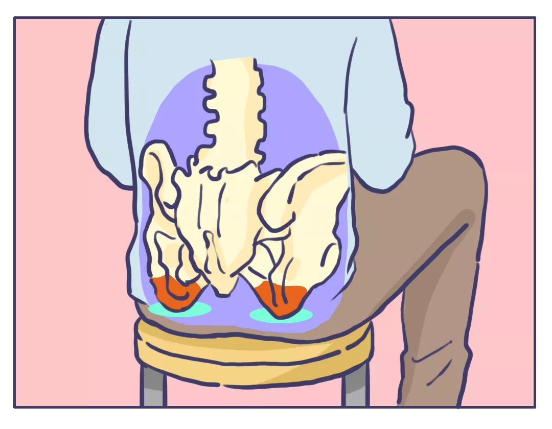坐在椅子上的時候,人的支撐面其實很窄,靠坐骨支撐身體.