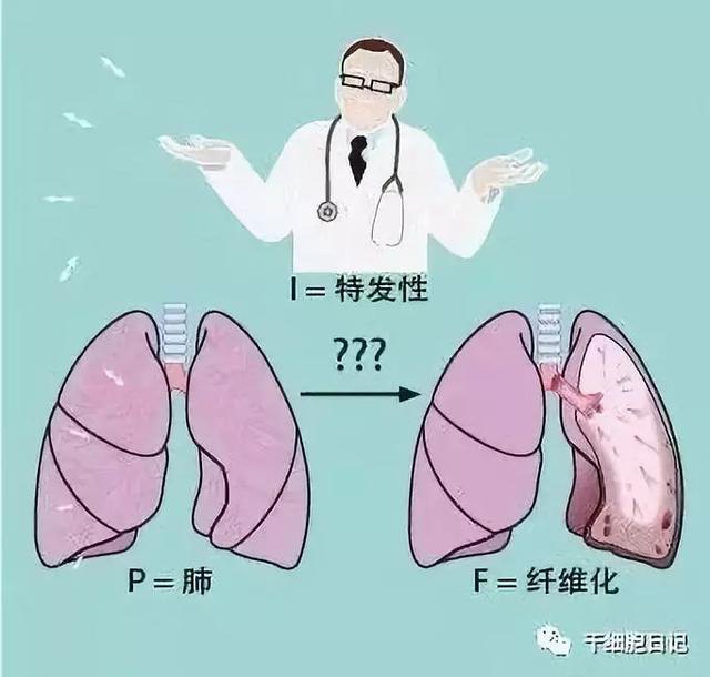 抗纤维化药物的作用和副作用