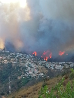 森林火灾已烧毁120所房屋（图源：推特）