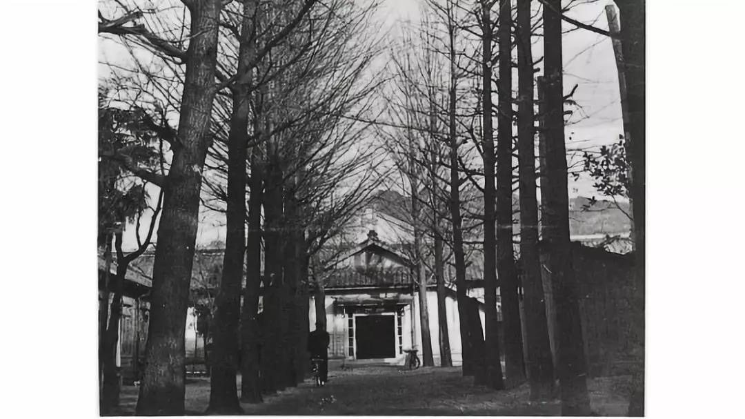 场所|京都吉田寮:一幢百年宿舍所坚持的生活方式|京都大学_新浪新闻