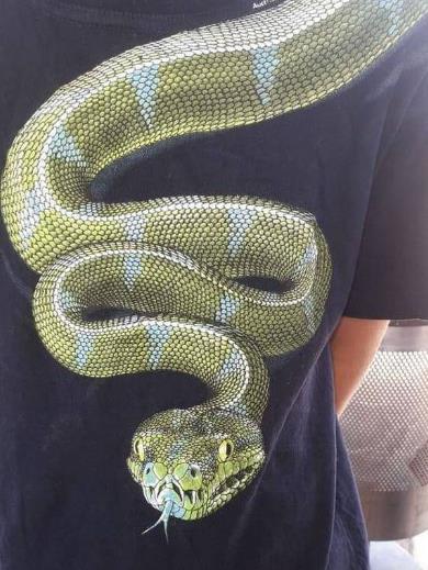 卢卡斯的衣服图案（图源：《每日邮报》）