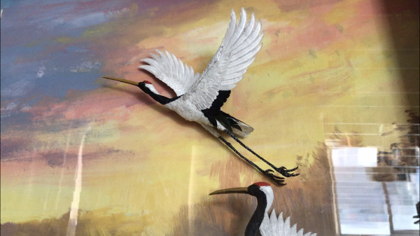 海城市张家村王立文:巧手剪艺精 鹤舞九霄外|剪纸|工艺美术_新浪新闻