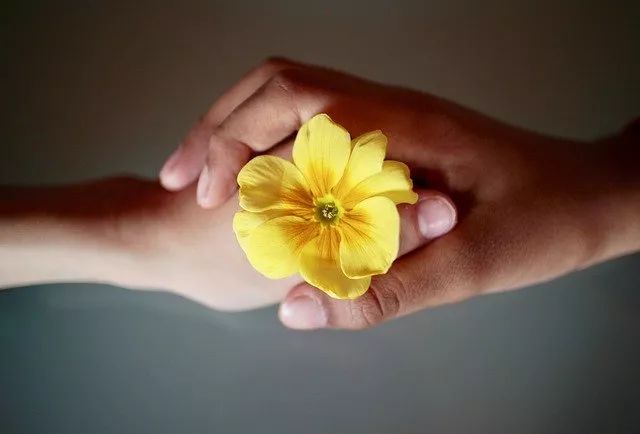 两个人产生信任危机怎么办？有3个方法，可以帮你摆脱困境