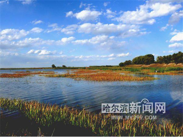【生态文明@湿地】黑龙江哈东沿江湿地申报国际重要湿地|松花江_新浪