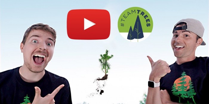 youtubers在不到2个月的时间内成功种植了2000万棵树