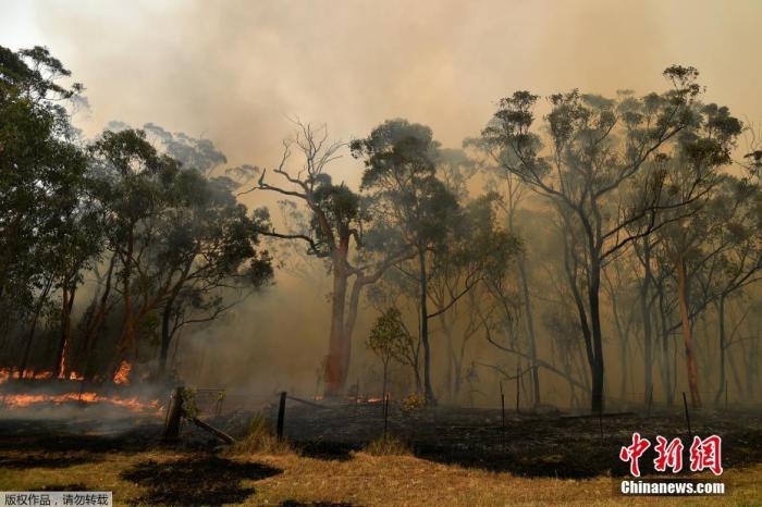當地時間2019年12月10日，澳大利亞悉尼，新南威爾士州大火持續蔓延，悉尼上空煙霧瀰漫。