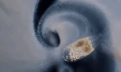 400_239gif 动态图 动图