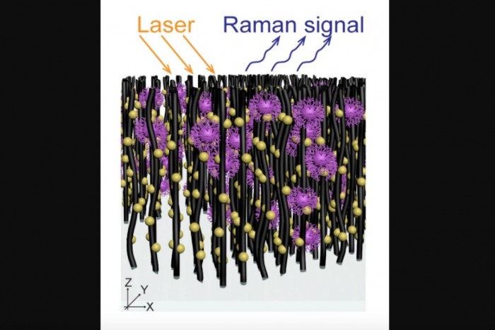 美科学家研发廉价便携式设备可快速识别病毒