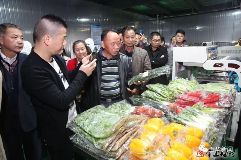 湾区的"菜篮子"产品供应项目之一!