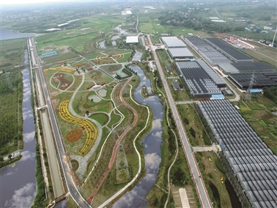 台创园绘就强富美高江宁新兰图
