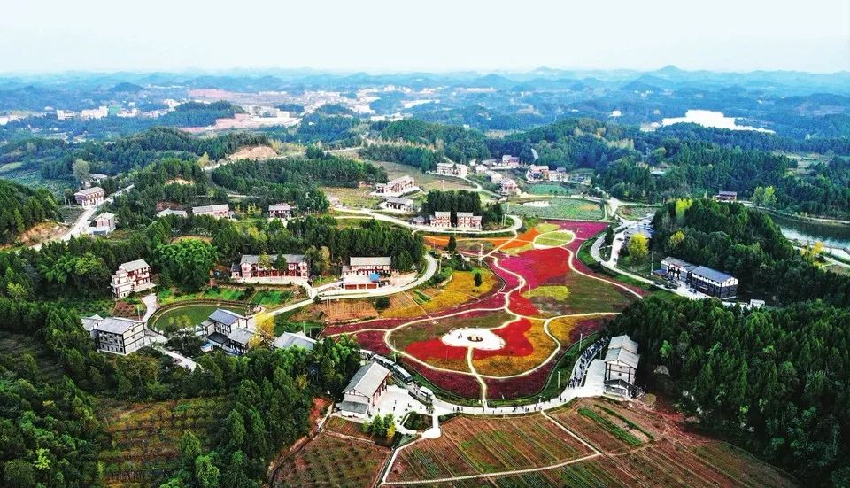 今年南充57.8万贫困人口全部脱贫