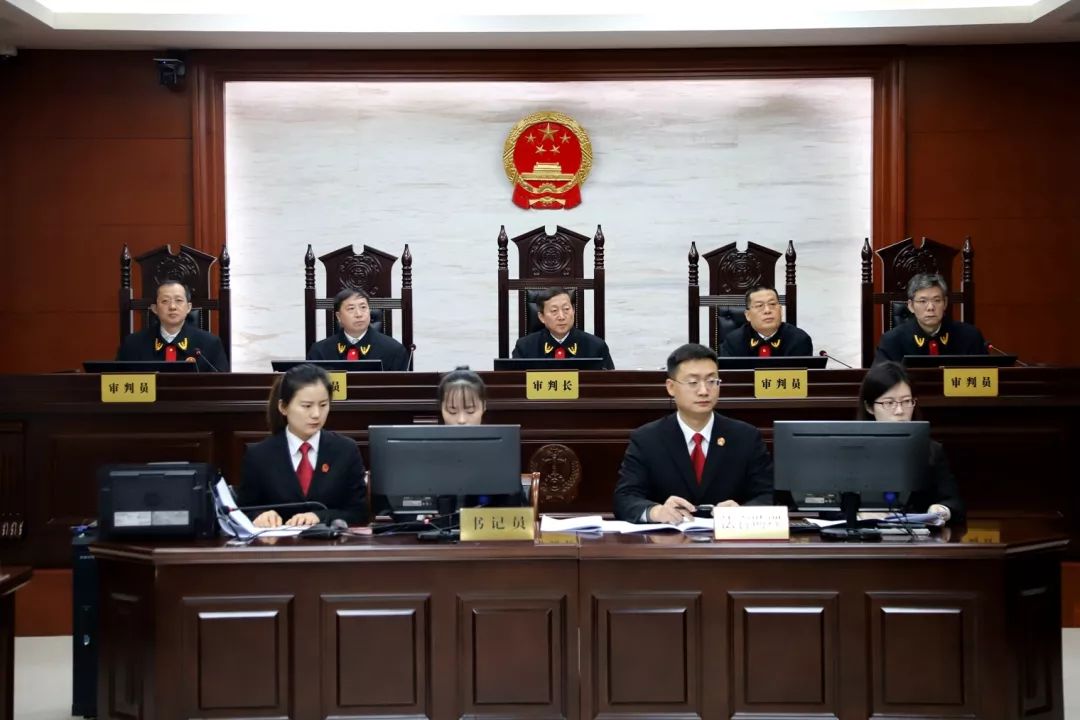 我三岁了丨最高人民法院第三巡回法庭成立三周年回顾