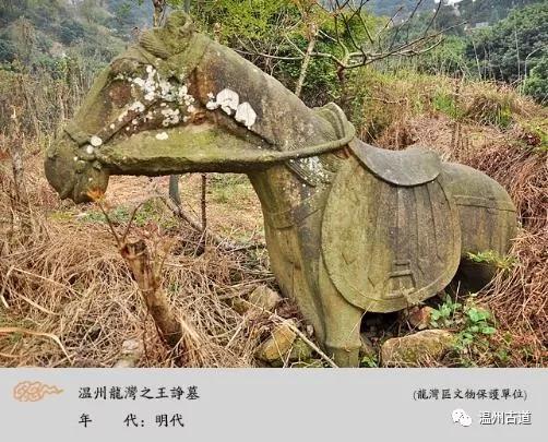 温州龙湾王诤墓